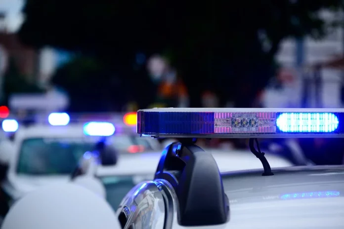 Νέα Ζηλανδία: Πρώην υπαρχηγός της αστυνομίας ερευνάται για κατοχή υλικού παιδικής πορνογραφίας και κτηνοβασίας