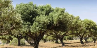 Χαλκιδική: Nέα μήνυση για υδροκλοπή από τον Δήμο Πολυγύρου