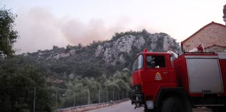 Φωτιά κοντά στην Τρίπολη – Άμεση η κινητοποίηση της Πυροσβεστικής