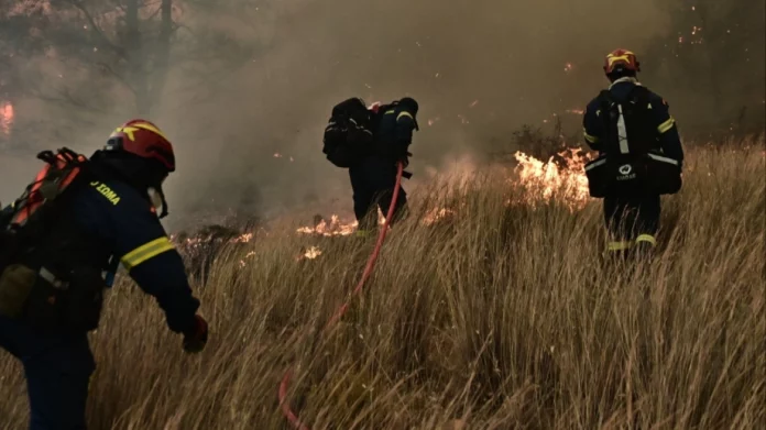 Φωτιά στον Βόλο – Κινδυνεύουν σπίτια – Εναέρια μέσα στη μάχη με τις φλόγες – (VIDEO-ΦΩΤΟ)