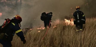 Φωτιά στην Εύβοια: Βίντεο από το μέτωπο κοντά στο εργοστάσιο της ΔΕΗ – Επιχειρούν ισχυρές δυνάμεις