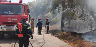Φωτιά στον Πύργο – Κοντά σε σπίτια οι φλόγες, μήνυμα από το 112 για ετοιμότητα