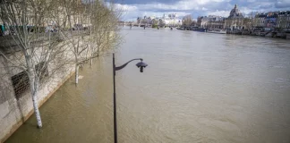 Μυστήριο με τα τέσσερα πτώματα που εντοπίστηκαν στον Σηκουάνα μέσα σε μια ημέρα – Ανακρίνεται ένας ύποπτος