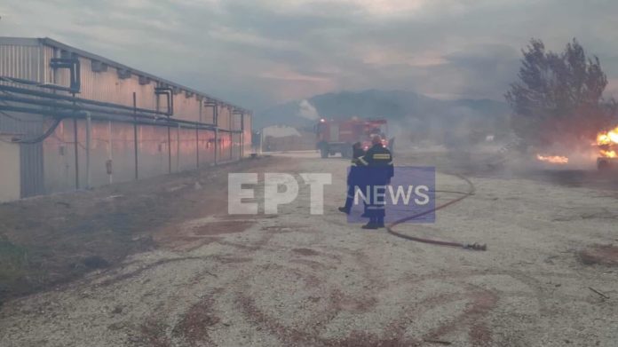 Σέρρες: Υπό έλεγχο η φωτιά σε εργοστάσιο ξυλείας στο Χαρωπό