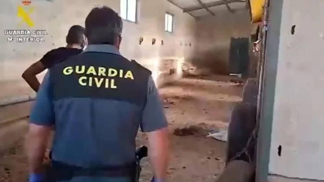 spain-politikiprostasia