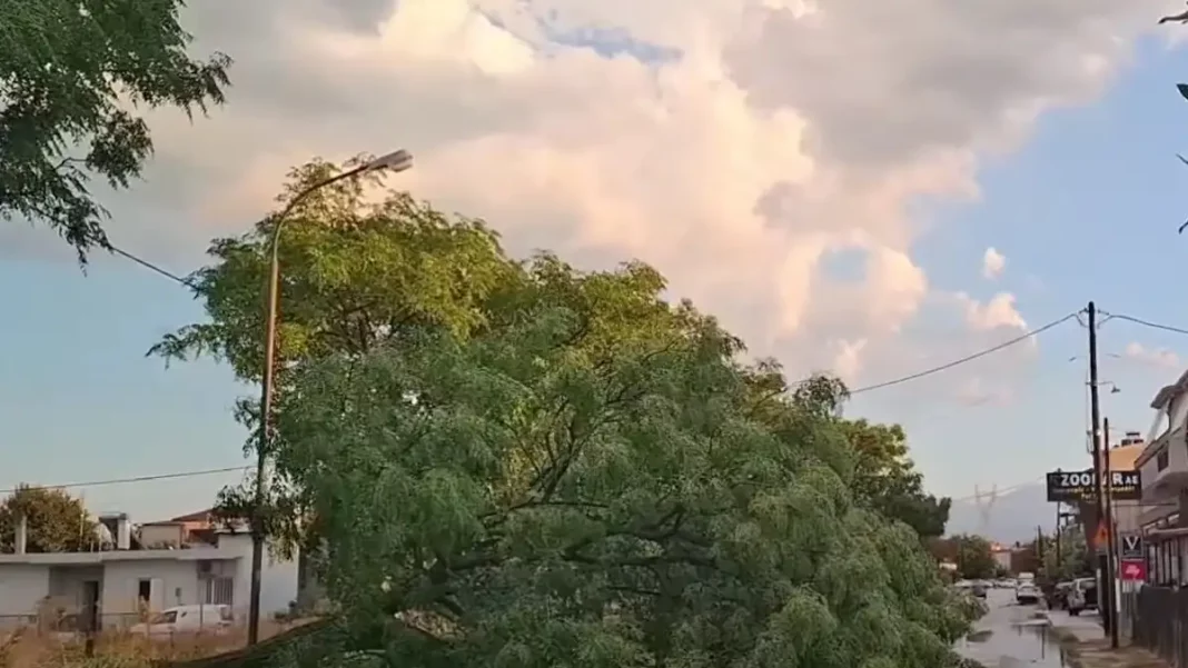 trikala-mpourini2-04082025-1200x675