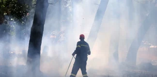 Φθιώτιδα: Συναγερμός για πυρκαγιά σε παραλία της Λοκρίδας