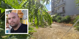 Βόλος:Συνελήφθη ο 40χρονος που σκότωσε την σύζυγό του – Κρυβόταν σε οικόπεδο