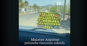 Οργή στην Τουρκία για νέους που έπεσαν σε καρπούζια επειδή… βαριόντουσαν – Δείτε βίντεο