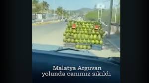 αρχείο λήψης (12)