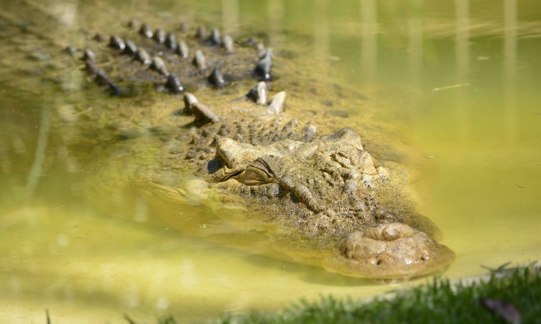 11e6b7ad-vish-k-h2ty0lcr9tg-unsplash