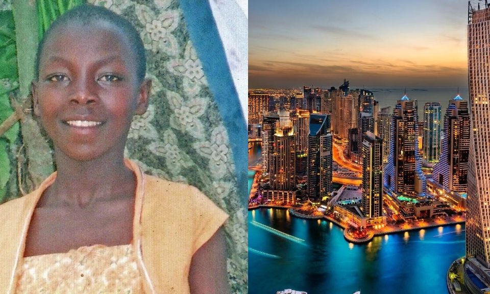 408b4e0a-download-41