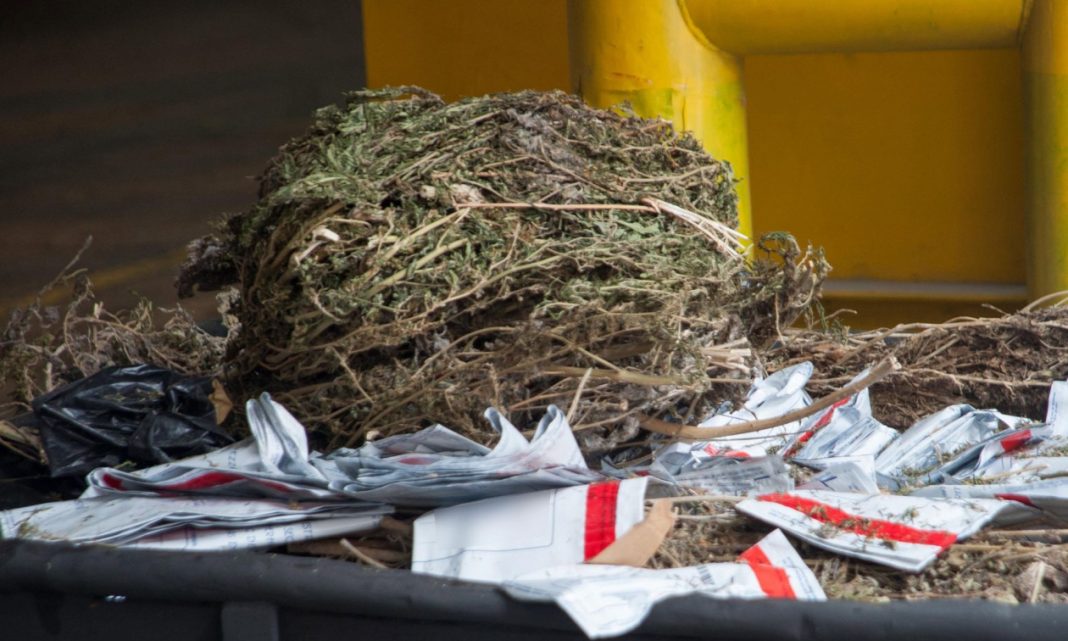 546bc7a6-xasis-fthiotida