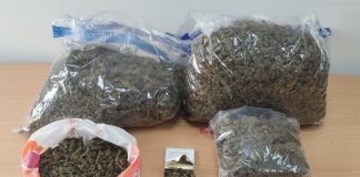 Πύργος: «Λαβράκι» έβγαλαν αστυνομικοί της ΟΠΚΕ – Συνελήφθη ζευγάρι που μετέφερε 6 κιλά κάνναβης