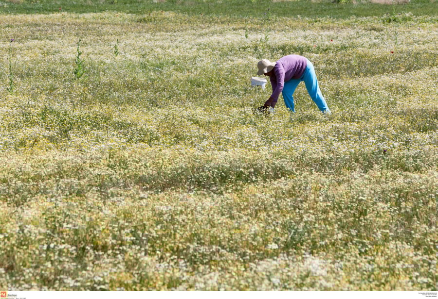 63265e6e0db38560ac9cb15f1e306bd2_L