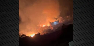 Φωτιά τώρα στη Νέα Πέραμο, ισχυρές δυνάμεις της Πυροσβεστικής στο σημείο