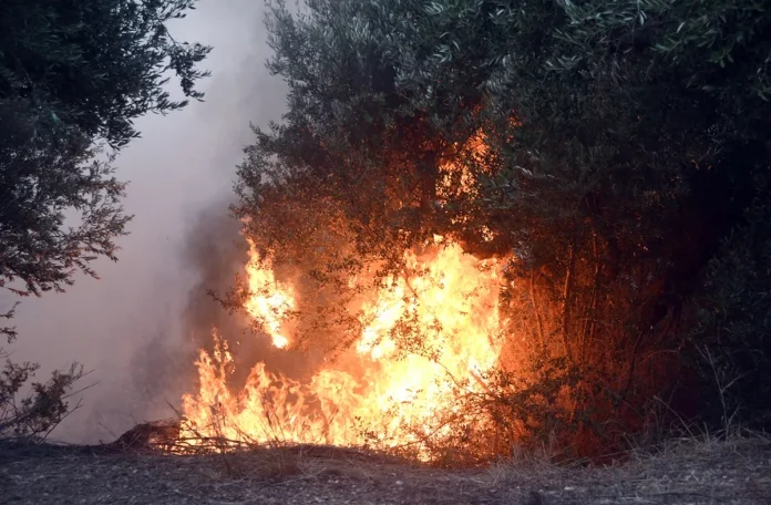 Φωτιά τώρα σε χαμηλή βλάστηση στους Αγίους Θεοδώρους Μαγνησίας – Σηκώθηκαν 4 εναέρια