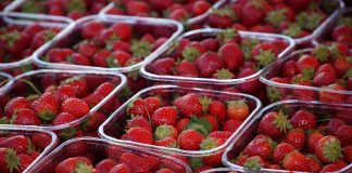 Η Lidl απέλυσε υπάλληλο που αποπειράθηκε να κλέψει… φράουλες!