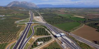 Αναστάτωση στην Ιόνια Οδό: Κοπάδι προβάτων «εισέβαλε» στον αυτοκινητόδρομο