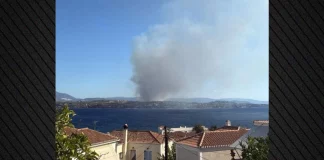 Φωτιά τώρα στο Κουνούπι Αργολίδας, 112 για εκκένωση της περιοχής Βεργαίικα – Ενισχύθηκαν οι δυνάμεις, επιχειρούν 11 εναέρια