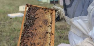 ΟΠΕΚΕΠΕ: Ο «μελισσοκόμος» βουλευτής της ΝΔ από την Εύβοια