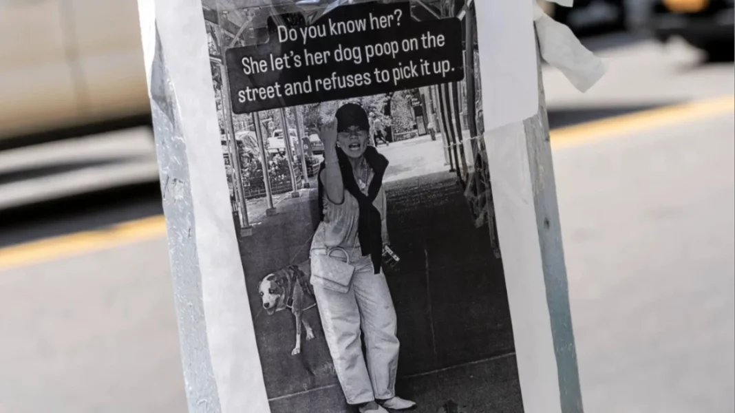 mixcollage-04-sep-2025-01-51-am-2967