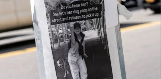 «Εκστρατεία ντροπής» για γυναίκα που δεν μάζευε τις ακαθαρσίες του σκύλου της