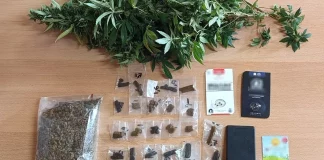 Καλλιεργούσε κάνναβη στον κήπο του και είχε MDMA – Συνελήφθη 52χρονος στο Ρέθυμνο