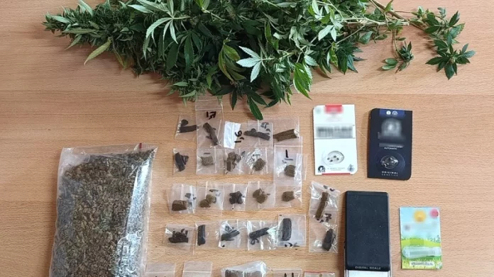 Καλλιεργούσε κάνναβη στον κήπο του και είχε MDMA – Συνελήφθη 52χρονος στο Ρέθυμνο