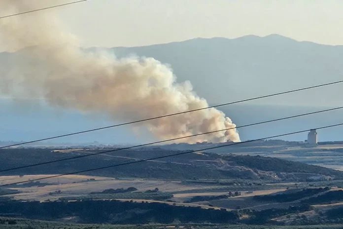 Χαλκιδική: Πυρκαγιά στη Νέα Τρίγλια – Κινητοποιήθηκαν και δύο ελικόπτερα (φωτο)