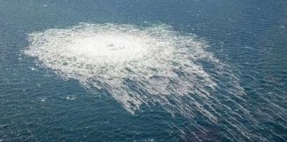 Συνελήφθη στην Πολωνία ο Ουκρανός δύτης Βολοντίμιρ Ζ. – Κατηγορείται για τις εκρήξεις στον Nord Stream