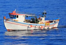 Τρίτεκνος ψαράς ισοπεδώνει Κελέτση: “Λες ψέματα! Φάγατε τις επιδοτήσεις σε νυχτερινά μαγαζιά!” -(VIDEO) Η ΕΛΛΗΝΙΚΗ ΛΥΣΗ για τους αλιείς της Αλοννήσου