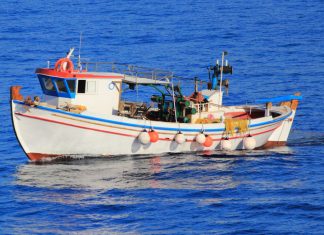 Τρίτεκνος ψαράς ισοπεδώνει Κελέτση: “Λες ψέματα! Φάγατε τις επιδοτήσεις σε νυχτερινά μαγαζιά!” -(VIDEO) Η ΕΛΛΗΝΙΚΗ ΛΥΣΗ για τους αλιείς της Αλοννήσου