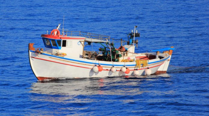 Τρίτεκνος ψαράς ισοπεδώνει Κελέτση: “Λες ψέματα! Φάγατε τις επιδοτήσεις σε νυχτερινά μαγαζιά!” -(VIDEO) Η ΕΛΛΗΝΙΚΗ ΛΥΣΗ για τους αλιείς της Αλοννήσου