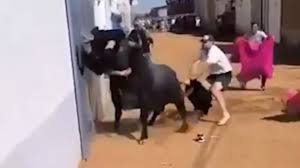 αρχείο λήψης (1)