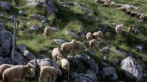 αρχείο λήψης (2)