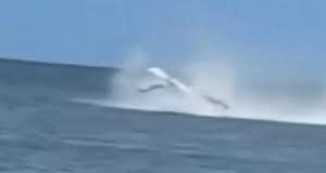 Η στιγμή της συντριβής μονοκινητήριου αεροσκάφους σε παραλία των ΗΠΑ – Διεσώθη ο πιλότος