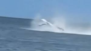 αρχείο λήψης (2)