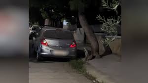 αρχείο λήψης (6)