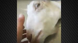 αρχείο λήψης (6)