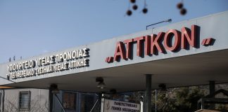 Τουλάχιστον 80 φορές είχε απασχολήσει τις Αρχές ο Γεωργιανός που χτύπησε με πιρούνι την έγκυο σύζυγο