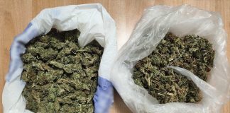 Πέλλα: Χειροπέδες σε δύο άνδρες που έκρυβαν σε σπίτια και αποθήκες κάνναβη – (ΦΩΤΟ)