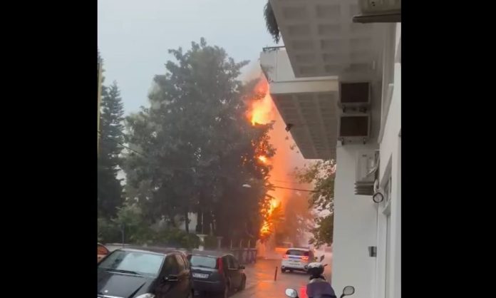 Ναύπακτος: Κεραυνός χτύπησε δέντρο, ποτάμια οι δρόμοι – Σημαντικά προβλήματα από την κακοκαιρία