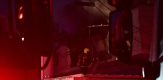 Βόλος: Κομμένο καλώδιο του ΔΕΔΔΗΕ προκάλεσε φωτιά σε δέντρο