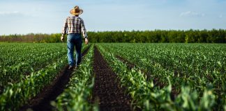 ΟΠΕΚΕΠΕ: «Έπιασαν τη μαρίδα, όχι τα μεγάλα ψάρια» – Πώς δρούσε το κύκλωμα των «αγροτών του καναπέ»