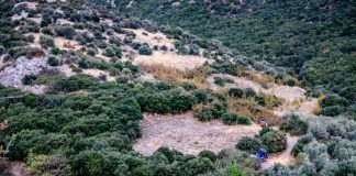 Λάρισα: Παραδόθηκαν στις Αρχές τα δίδυμα αδέλφια που αναζητούνταν για την υπόθεση της χρυσοθηρίας