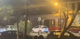 Θεσσαλονίκη: Νέα… απόβαση αγριογούρουνων σε κεντρικό δρόμο της Τούμπας – Δείτε βίντεο