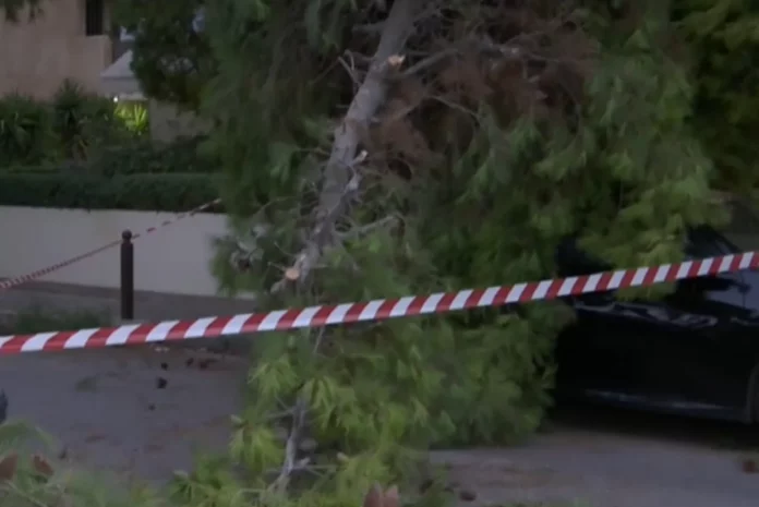 Πτώση δέντρου στο κέντρο της Αθήνας – Ένας τραυματίας