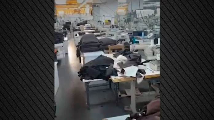 Στην φυλακή τα δύο αδέλφια από την Συρία για το δίκτυο που ρήμαζε τον ΕΦΚΑ – Ελεύθεροι με όρους τέσσερις συγκατηγορούμενοι τους