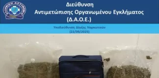 «Ελ. Βενιζέλος»: Συνελήφθησαν δύο νεαροί για διακίνηση ναρκωτικών – Κατασχέθηκαν πάνω από 36 κιλά κάνναβης